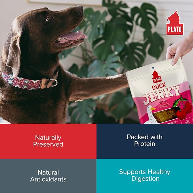 PLATO Pet Treats - Air-Dried Jerky - Delicious, Real Meat Dog Treats - Grain Free - Supports Healthy Digestion - Duck with Cherry 16oz