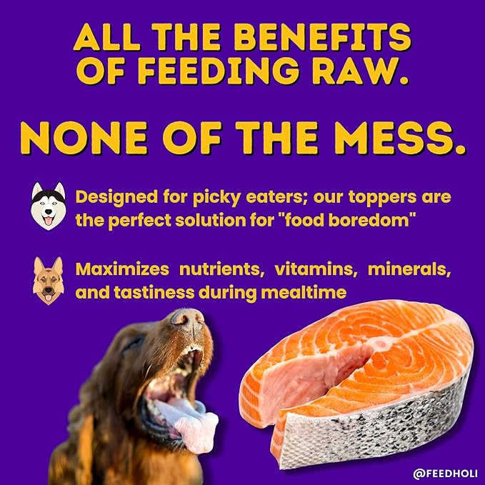 HOLI Freeze Dried Dog Food Topper - 3 Pack 2oz/Bag (Beef Liver, Chicken Breast, Salmon) Mix in Flavor Enhancer, 100% All Natural