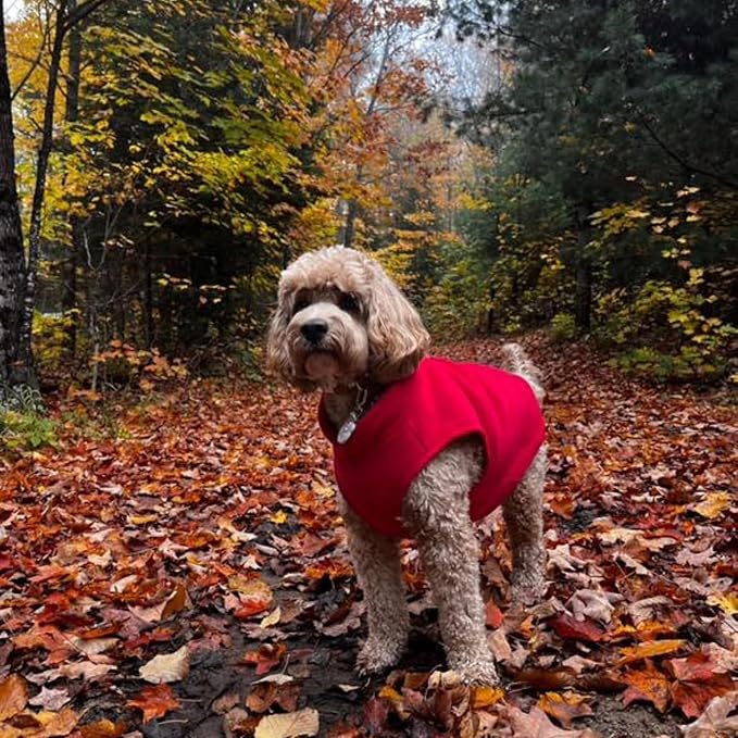 JACKO & CO - Fleece Vest Dog Sweater with Leash Ring - Soft, Warm & Lightweight Pullover Coat for Small & Medium Dogs, Puppies & Cats - Cozy Fall/Winter/Spring Pet Jacket (Red, X-Large 17-25lbs)