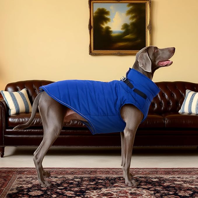 Kuoser Dog Jacket, Warm Dog Coat with Harness Built in for Small Dogs, Puppy Winter Jacket Pet Clothes for Cold Weather, Windproof Doggie Winter Vest for Pug Dachshund, Blue S