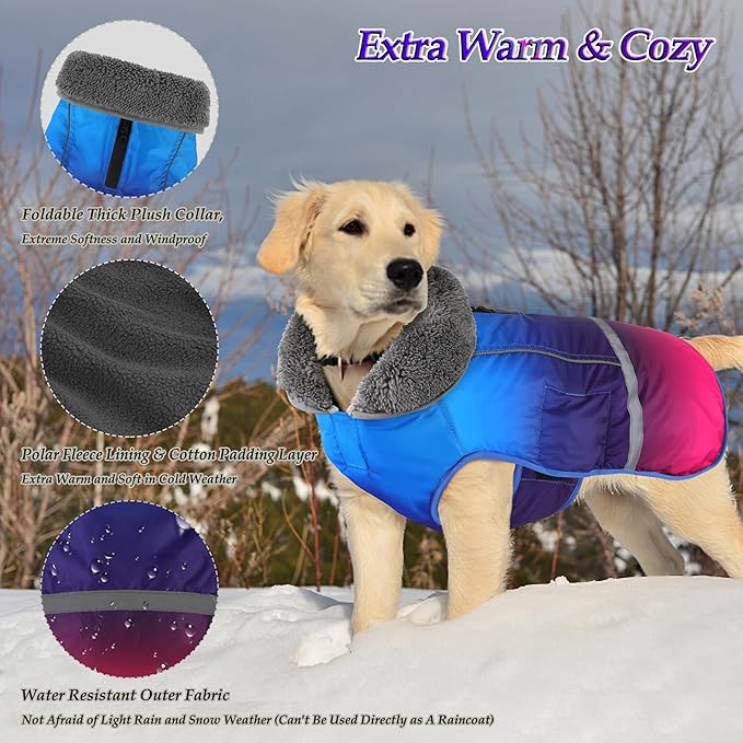 Dogcheer Warm Dog Coat, Waterproof Dog Winter Jacket Christmas Puppy Cold Weather Coats with Buckle, Reflective Adjustable Pet Snow Jacket for Small Medium Large Dogs - Gradient Blue-red, S