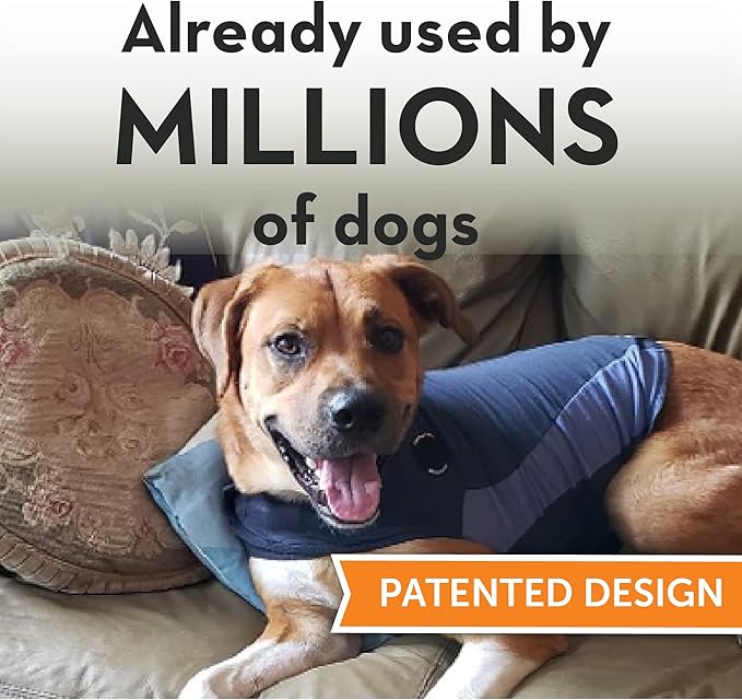 ThunderShirt for Dogs, XX Small, Blue Polo - Dog Anxiety Relief Calming Vest