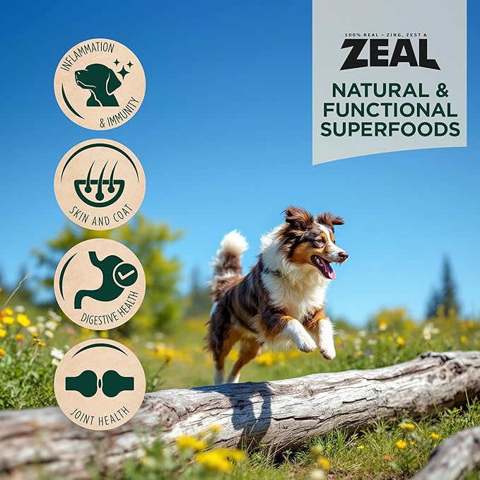 ZEAL Canada Air-Dried Beef Recipe for Dogs - High Protein, Natural Superfoods, Nutrient Rich, No Fillers, Grain Free, Complete & Balanced (Beef, 1 lb)