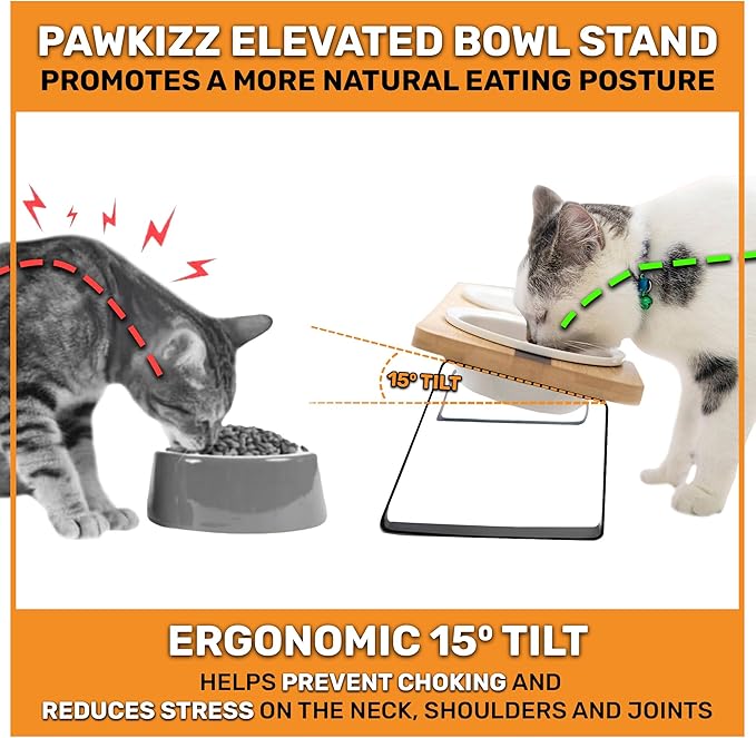 Elevated Cat Bowl Stand for Food and Water – Anti-Vomit Raised Feeding Station with Tilted Stand – Removable Stainless Steel Bowls, Anti Slip Bamboo Base, Dishes for Cats, Kitten, Small Dogs & Puppies