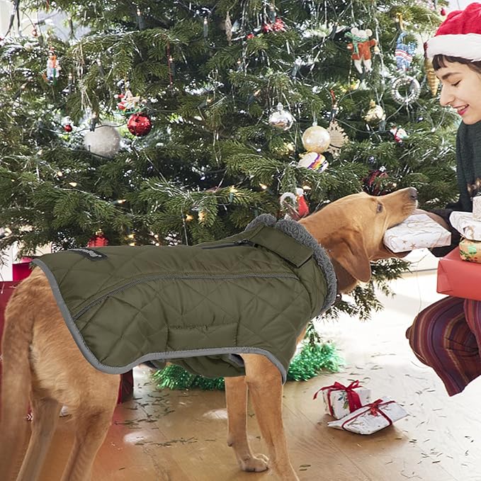 Fragralley Dog Coat Large, Waterproof Dog Jacket with Warm Fleece Lining, Adjustable Reflective Dogs Winter Coat, Turtleneck Pet Coats for Cold Weather (ArmyGreen XXXL)