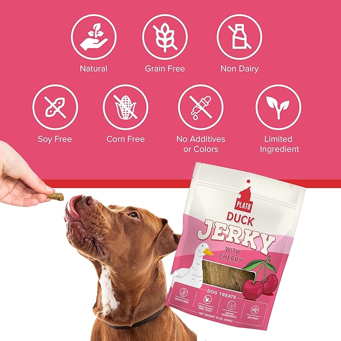 PLATO Pet Treats - Air-Dried Jerky - Delicious, Real Meat Dog Treats - Grain Free - Supports Healthy Digestion - Duck with Cherry 16oz