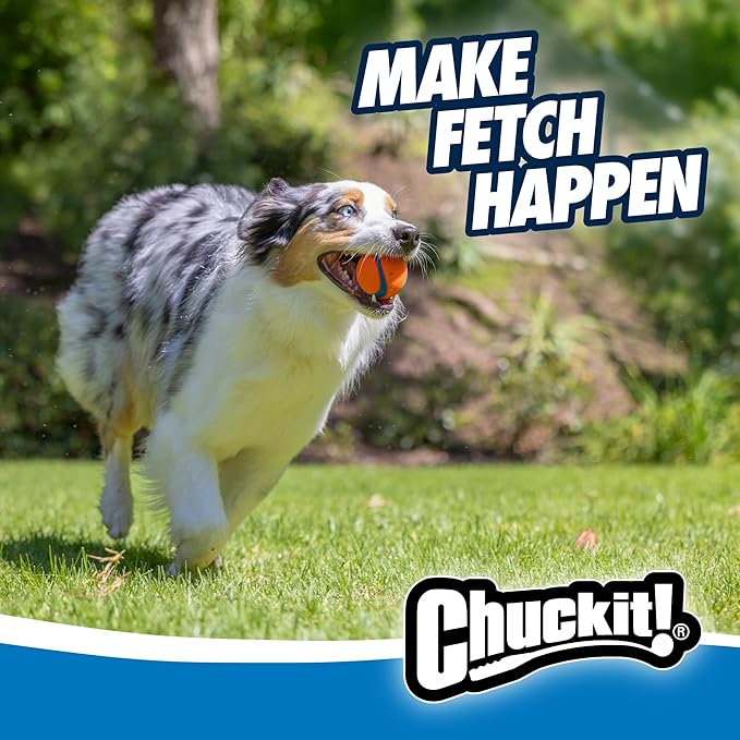 Chuckit! Ultra Ball Dog Toy, Medium (2.5 Inch Diameter) Pack of 1, for breeds 20-60 lbs