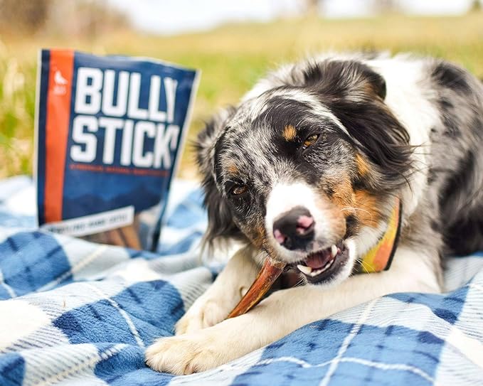 Wild Wolf 6-inch Angus Bully Sticks (8 Ounces) Healthy, All-Natural, Long-Lasting Dog Chew Bones - Low Odor - Mixed Thickness - Lab-Tested, Hand-Inspected and Packed with Love in The USA