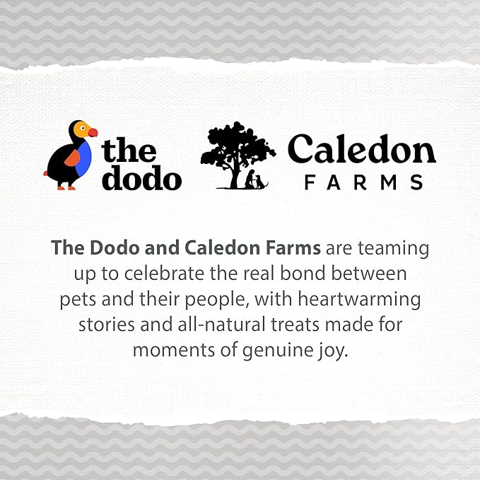 Caledon Farms The Dodo Crunchy Biscuits - Sweet Potato with Peanut Butter 19.5oz, Dog Treats