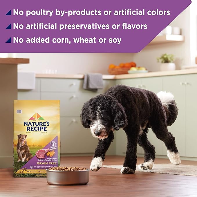 Nature's Recipe Grain Free Dry Dog Food, Lamb, Sweet Potato & Pumpkin Recipe, 4 lb. Bag