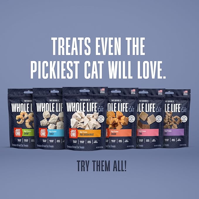 Whole Life Cat Just One Salmon Freeze Dried Cat Treats - Human Grade High Protein Food, Healthy Training Snacks, Freeze Dried Salmon Food Toppers, USA Made Natural Treats - 2.5 oz (Pack of 1)