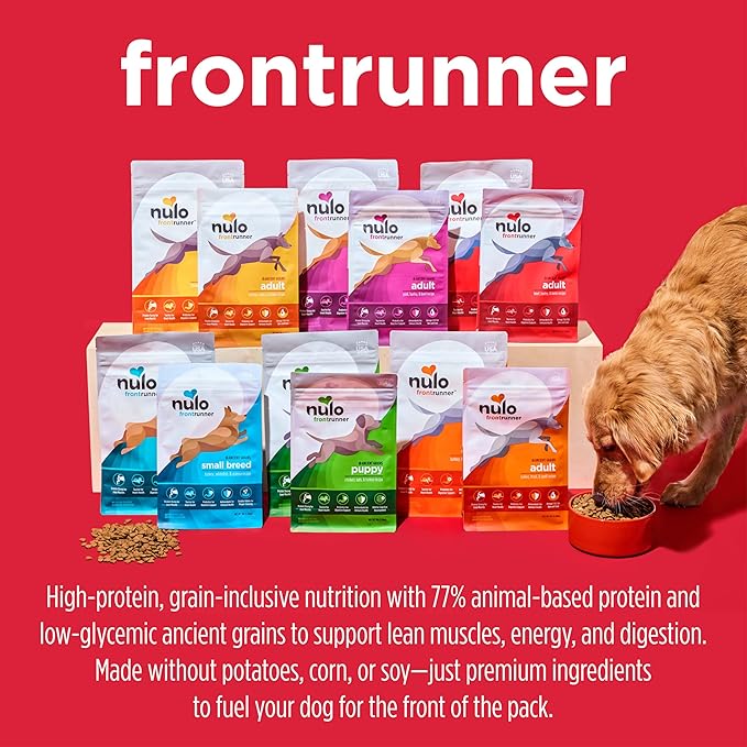 Nulo Frontrunner Ancient Grains High-Protein Dog Food, Pork, Barley, & Beef Recipe- Natural Dry Dog Food with Probiotics, Grain-Inclusive Kibble for Adult Dogs, 5 lb Bag