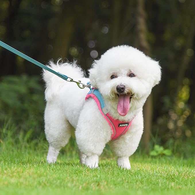 AIITLE Easy Walk Dog Harness and Leash Set - Pet Supply No Pull, Step in Adjustable Pet Harnesses with Padded Vest for Summer, No Choke Over, Easy to Put on Medium Dogs Hot Pink L
