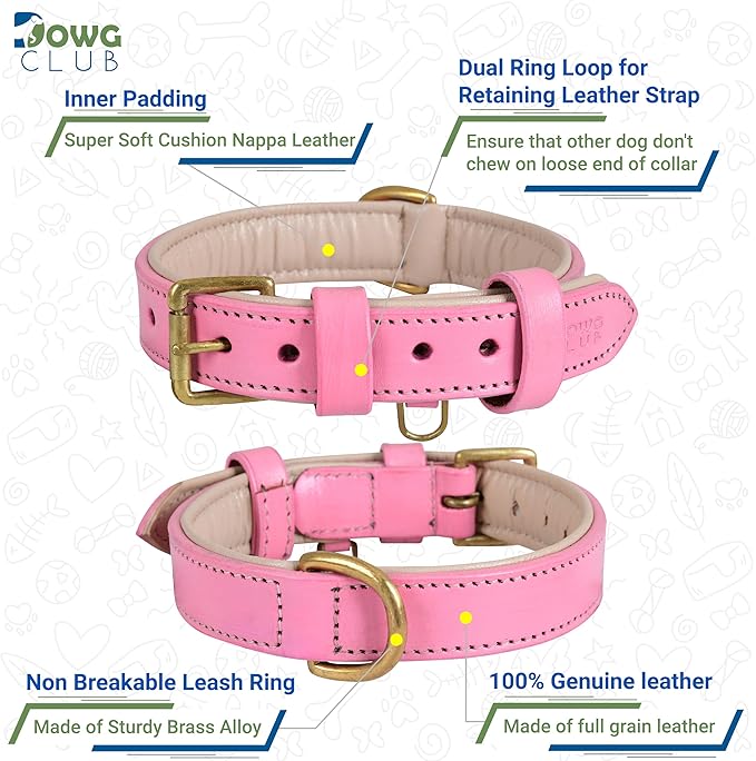 Leather Dog Collar for Extra Large Dogs, Light Pink, 1.5 Inch Wide, Genuine Leather, Heavy Duty with Soft Inner Padding, Comfortable and Durable(Blush Pink, XL (Fit Neck Size 22"-26"))