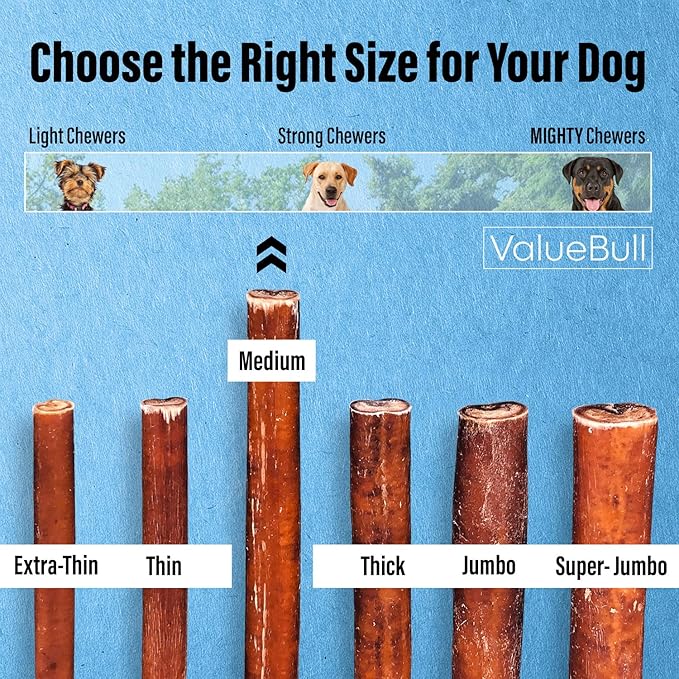 ValueBull Bully Sticks for Dogs, Medium 6 Inch, 25 Count - All Natural, Grass Fed, Single Ingredient, Long Lasting Dog Treats