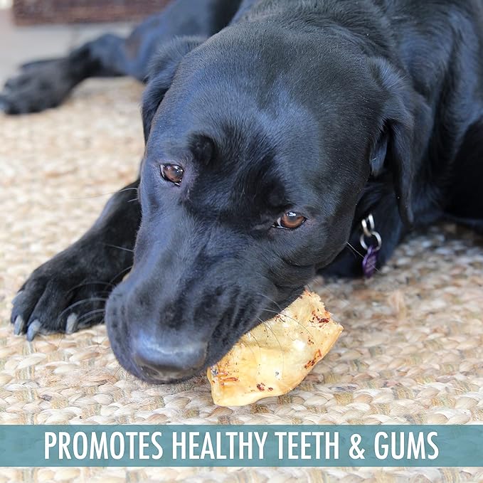 Wild Eats Water Buffalo All Natural Dusted Ear Dog Chews, Treats & Dog Snacks - 20 Piece Value Pack (Grain Free Treats - Great Alternative to Pig Ears, Cow Ears, Bones & Rawhides for Dogs)