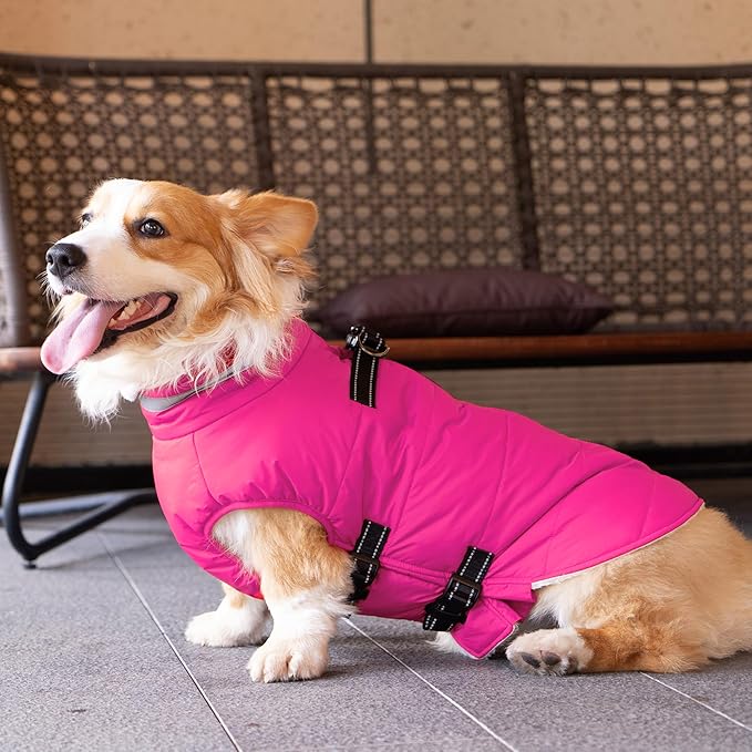 Dog Coat with Harness Built-in, Waterproof Reflective Fleece Lined - Warm Windproof Winter Jacket with Back Zipper, Cold Weather Snow Dog Coats - Pink - L