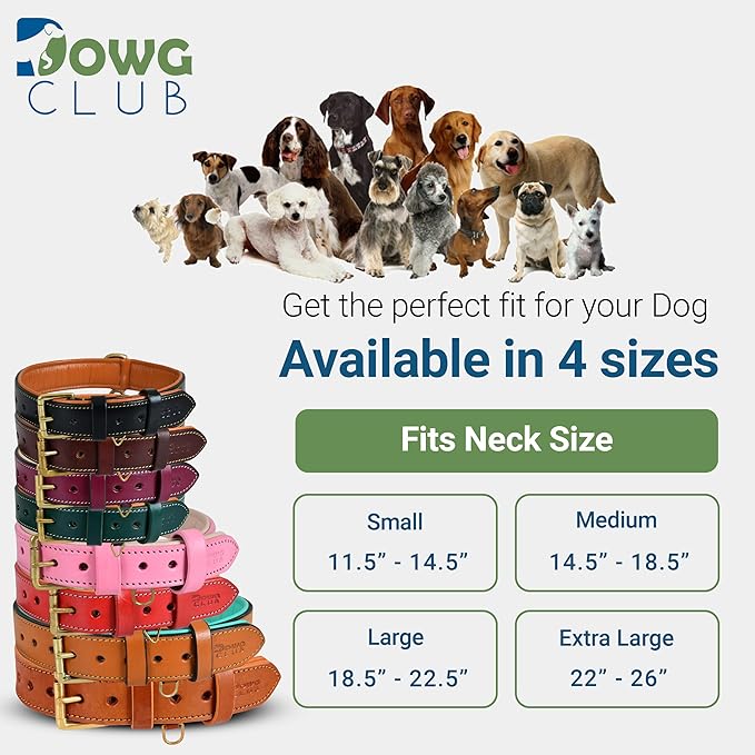 Genuine Leather Dog Collar – Full Grain, Breathable Inner Padding, Padded Buckle – Heavy Duty, Adjustable for Small, Medium, Large & XL Breeds (Dark Brown, M (Fit Neck Size 14.5"-18.5"))