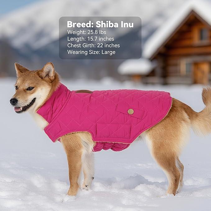 Dog Winter Coat, Dog Jacket with Warm Fleece Lined, Waterproof Windproof Dogs Cold Weather Coats Clothes for Puppy Dogs Snowsuit with Leash Hole, Rose Red Small