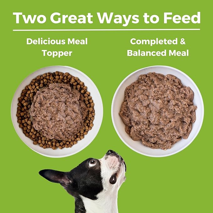 KOHA Limited Ingredient Diet Duck Entrée for Dogs - Sensitive Stomach Canned Dog Food - High Protein, No Fillers Pate Dog Food - 13 oz Pack of 12