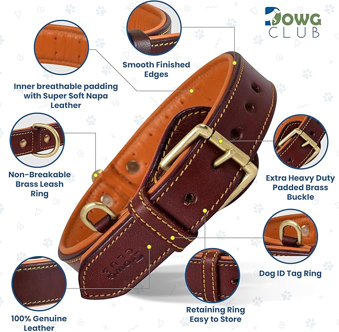 Genuine Leather Dog Collar – Full Grain, Breathable Inner Padding, Padded Buckle – Heavy Duty, Adjustable for Small, Medium, Large & XL Breeds | (Dark Brown, L (Fit Neck Size 18.5"-22.5"))