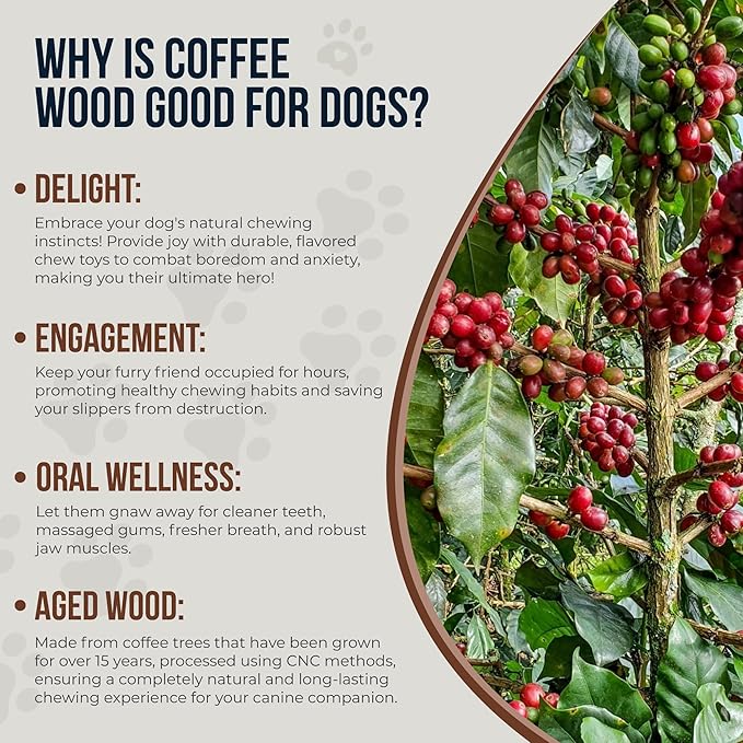 Coffee Wood Dog Chews 7.5" & Dog Rope Toys 100% Natural for Teething, Stress Relief, Dental Health, Organic Toys - Size S