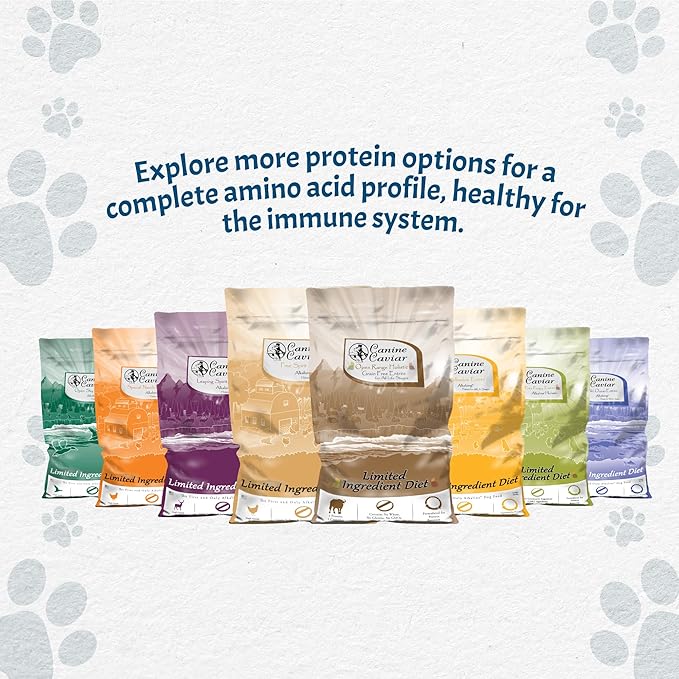Canine Caviar - Open Sky: Duck & Teff Alkaline Dry Dog Food, Limited Ingredients, Gluten-Free, Based on Science & Research, Veterinary Alternative Diet (11 Pound Bag)