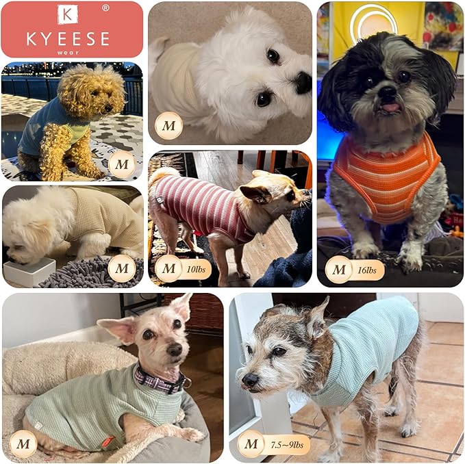 KYEESE 2Pack Dog Shirts Waffle for Small Dogs Stretchy Dog T-Shirts Lightweight Tank Top Sleeveless Vest Breathable Cat Shirt, Medium, Green+Grey