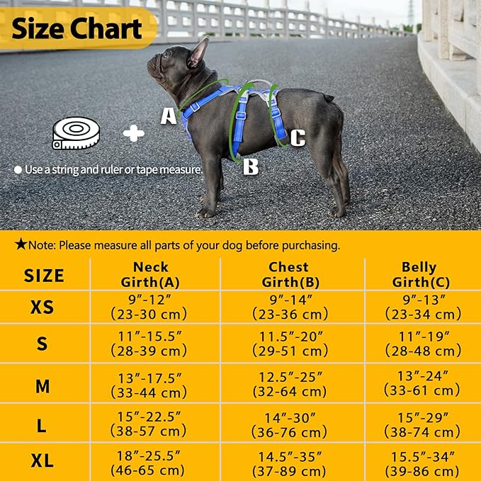 Huntboo Escape Proof Dog Harness,No Pull Reflective Harness with Lift Handle,Adjustable Pet Vest with Front and Back Leash Clips for Small Medium Large Dogs Walking Hiking Training (Sea Blue,XL)