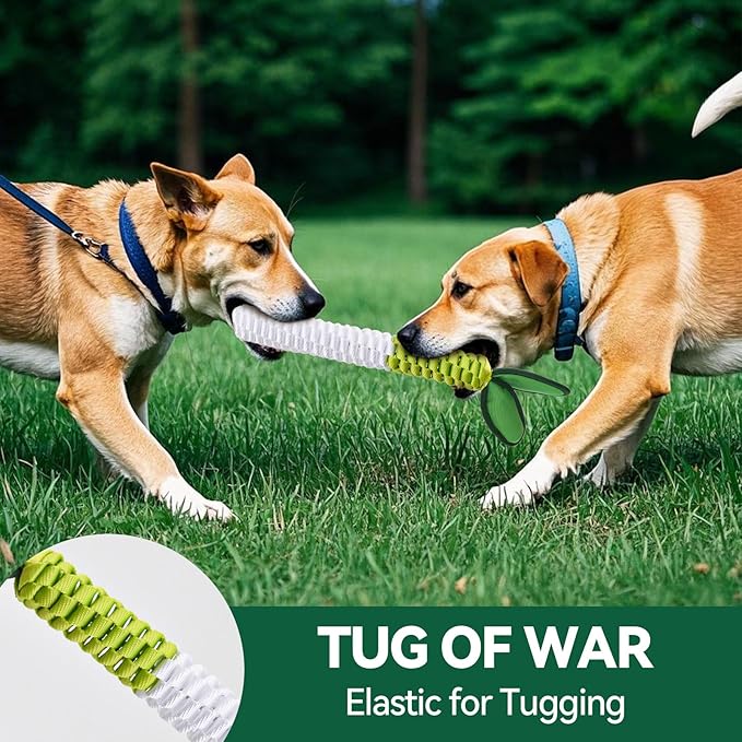 AUSCAT Carrot Dog Rope Toy, Durable Tug of War Toy with Squeaker, Braided Teething Toys for Small Medium Large Dogs, Radish