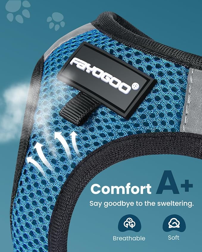FAYOGOO Cat Harness and Leash Set | Upgrade Step-in Escape Proof Harness | Lightweight Soft Vest, No-Choke Design for Walking, Travel, Camping (Tranquil Teal)
