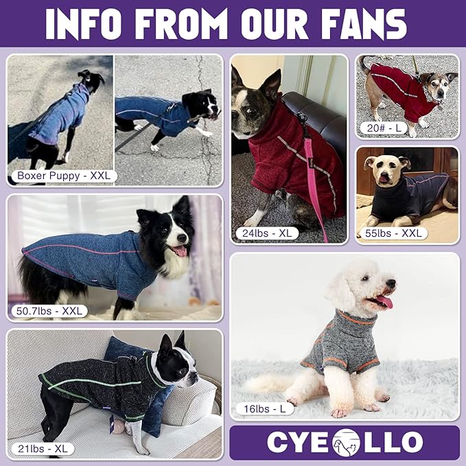 cyeollo Dog Coat Jacket Fleece Lined Inside Reflective Coats with D Ring Zipper Up Dog Winter Coats Warm Clothes Dogs Sweaters for Small Dogs