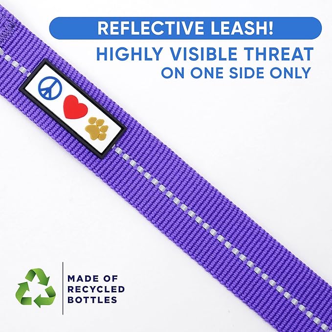 Pawtitas Recycled 6 FT Dog Leash with Reflective Stitched Thread - Purple, 6 ft