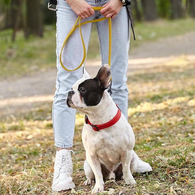 Dogline Biothane Waterproof Dog Leash Strong Coated Nylon Webbing with Black Hardware Odor-Proof Easy to Clean High Performance for Small or Large Dogs Made in USA 2 ft Lead, Treasure Gold