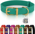 BRONZEDOG Leather Dog Collar with Metal Buckle Durable Basic Pet Collars for Small Medium Large Dogs (19-21 Inch (Pack of 1), Green & Gold Buckle)