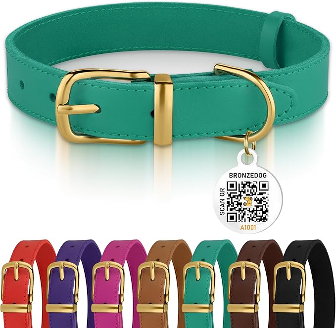 BRONZEDOG Leather Dog Collar with Metal Buckle Durable Basic Pet Collars for Small Medium Large Dogs (13-16 Inch (Pack of 1), Green & Gold Buckle)