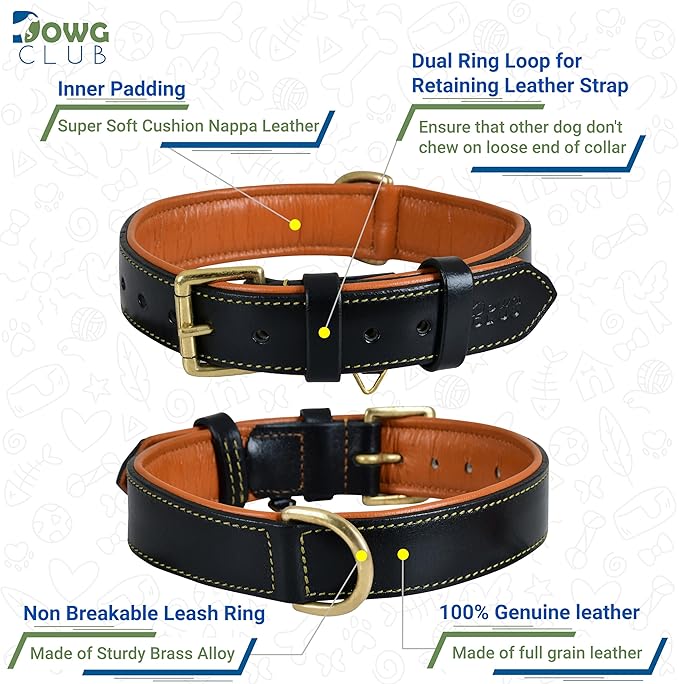 Genuine Leather Dog Collar | Full Grain, Heavy Duty, Comfortable, Padded, Strong | Best for Pups, Small, Medium, Large & XL Breeds (X-Large (Fit Neck Size 22"-26"), Black)