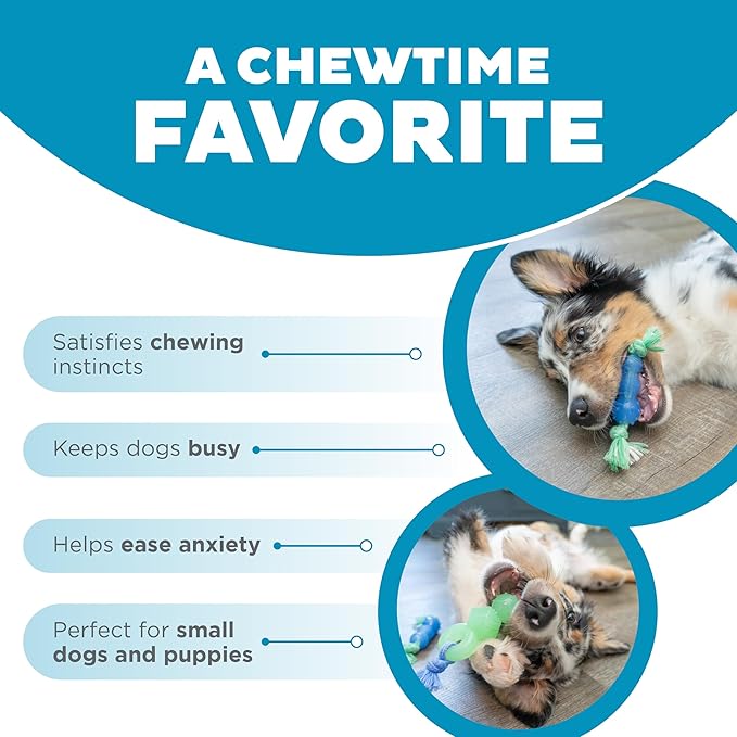 Outward Hound Mini Dentachew Dental Dog Chew Toy - 3 Pack - Great Size for Small Dogs and Puppies