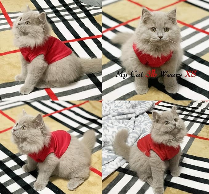 Dog Shirts Pet Clothes Blank Clothing, 3pcs Puppy Vest T-Shirts Cat Apparel Vests Cotton Doggy Shirt Soft and Breathable Outfits for Small Extra Small Medium Large Dogs