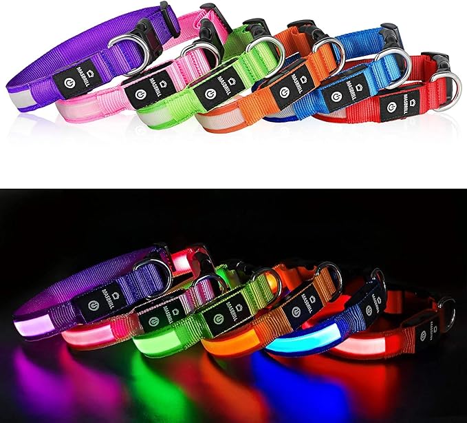 MASBRILL LED Dog Collar - Light Up Dog Collars Rechargeable - Waterproof Night Walking Glowing Dog Collar for Small, Medium, Large Dogs