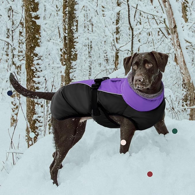 IECOii Extra Warm Reflective Dog Coat - Adjustable Winter Jacket with Buckle & Fleece Turtleneck for Small to Extra Large Dogs