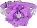Serijoars Small Dog Collar with Rhinestone Crystal Diamond Colorful Bling Girl Puppy Cat Collars (S, Purple6)