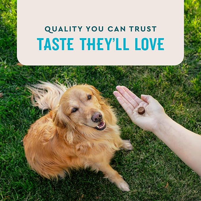 VetIQ Glucosamine Hip & Joint Supplement for Dogs, 60 Soft Chews, Joint Support Supplement with MSM and Krill, Dog Health Supplies Large & Small Breed, Chicken Flavored Chewables