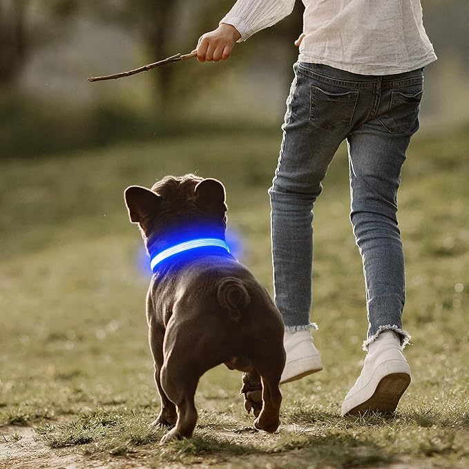 YFbrite Full Adjustbale LED Dog Collar, Full Illuminated Light up Dog Collars, Reflective Dog Collar Light Glowing in The Dark for All Dogs Safety (Small, Blue-2)