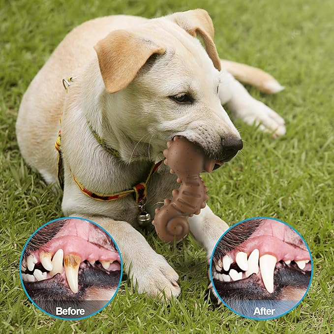 PETSTA Tough Dog Toys for Aggressive Chewers, Chew Toys for Aggressive Chewers, Indestructible Dog Toy for Large Medium Small Breed, 3 Pack Super Chewer Dog Toys with Nylon, Gift for Dogs