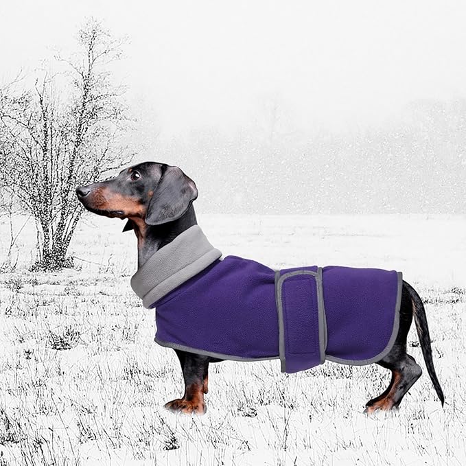 Geyecete Dachshund Sweaters for Dogs Jacket,Dachshund Coat Perfect Dog Winter Coat with Padded Fleece Lining,high Collar,Dog Snowsuit-Purple-XS