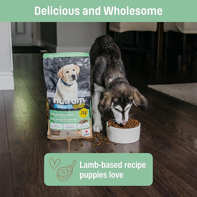 I14 Puppy Dry Dog Food – Lamb & Brown Rice Kibble for Skin, Coat, and Stomach | Salmon Oil for Cognitive Development | Pumpkin for Digestion | Natural, Limited Ingredient Formula (4.4 Pounds)