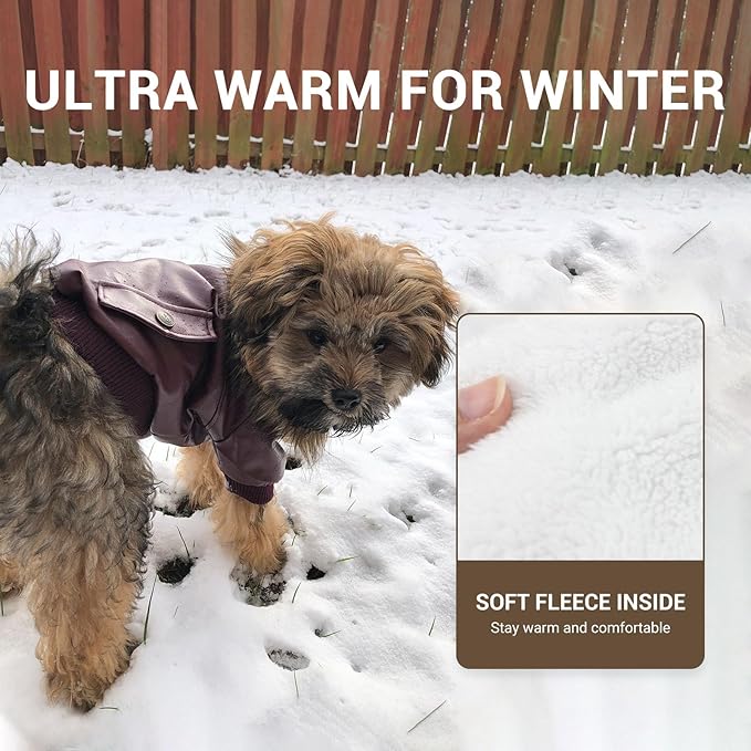 LESYPET Dog Leather Jacket for Small Dogs, Waterproof Dog Winter Jacket Puppy Coat with Fleece Lined, Ultra Warm Fur Collar Doggie Coat, Red L