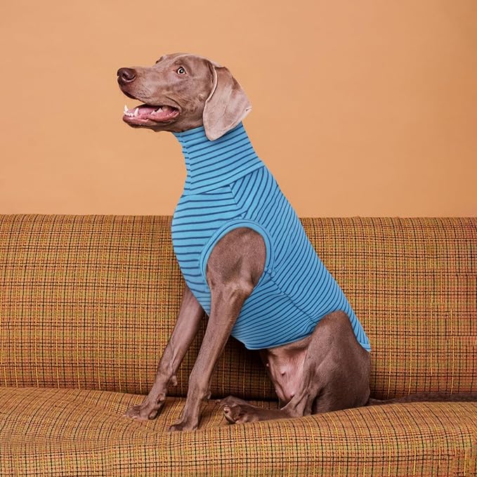 ROZKITCH Dog Sweaters for Medium Dogs Boy Girl,Soft Stretchy Turtleneck Pullover for Medium, Warm Winter Coat for BlueStripe M