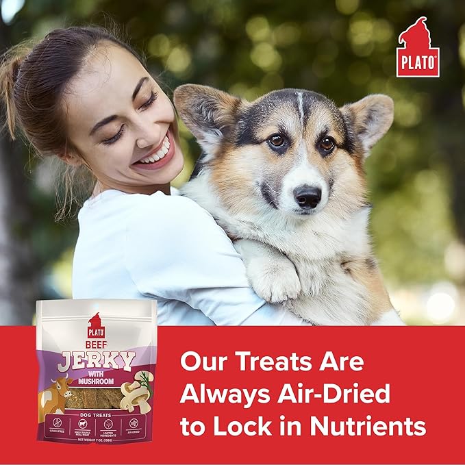 PLATO Pet Treats Jerky Dog Treats - Air-Dried Beef Jerky with Mushroom - Grain Free, High Protein - 16oz